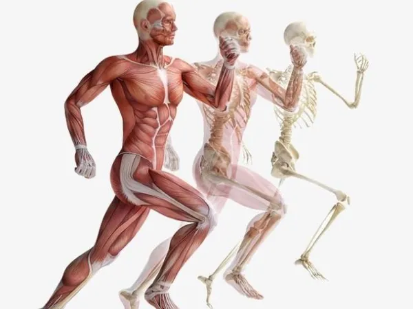 image Reumatologista,reumatologia,reumatismo