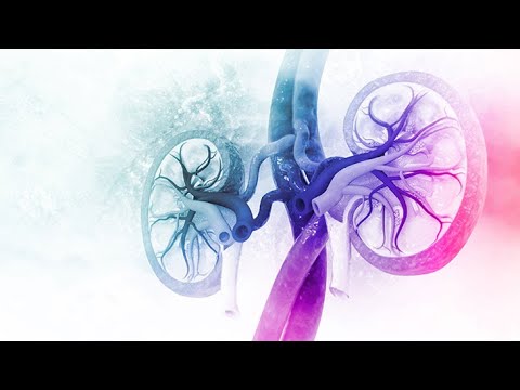 nefrite lúpus eritematoso sistêmico,lupus